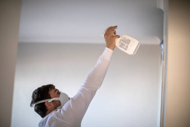 Best Mold Remediation  in Bridge City, TX