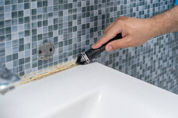 Best Local Mold Removal Service  in Bridge City, TX